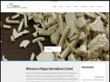 Magna International performance plastic additives