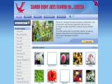 Xiamen Enjoy Arts Industrial cabbage flower