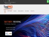 Testpro For Software Testing Services site