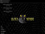 Home - Black Mamba Gloves 106 black