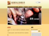 Shing Kee Ho Jewellery Findings Co. ear fake piercing