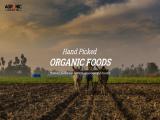Agronic Food organic grains