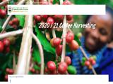 Yirgacheffe Coffee Farmers Cooperative Union green