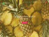 Rompine Pineapple 100ml aroma diffuser