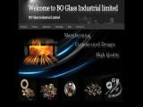 Shanghai Bo-Glass Industrial a55 halogen lamp