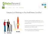 Small Business Strategies and Services for Growth - Sales ammunition sales