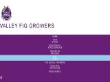 Valley Fig Growers bulk organic snacks