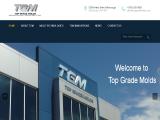 Top Grade Molds Ltd. 250 top