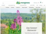 Evergreen Enterprises. Inc cup