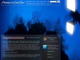 Blue Ocean Art animation images