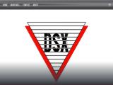 Dsx Access System security bit