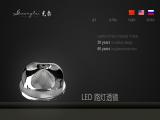 Wuxi Guangtai Glass Lens flashlight