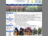 Chengdu Wenjiang Youth Landscaping bushes