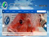 South Atlantic Fishery Management. act