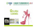 Lanxi Golden Leaves Daily Necessities magnolia leaves