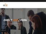Pro Tek Partners; Staffing Agency, Perm it Contract cisco