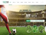 Guangzhou Citygreen Athletic Facility soccer