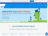 Fmi: Consulting Services Syndicated and Custom Market Research reports