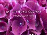 Bay City Flower Co christmas city