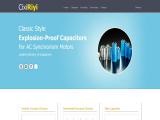 Cixi Riyi Capacitor Factory capacitor suppliers