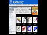 Bluecowry Premium & Gifts promotional metal key chains