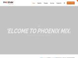 Phoenix Mixer India paint mixer